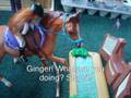 videos de elenas stopmotion.wmv