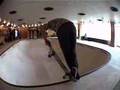 Forum Skate Pool Otwarcie