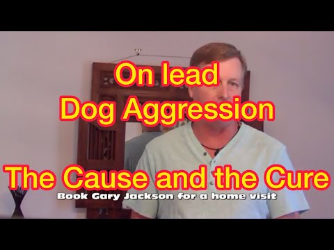 how to cure aggression