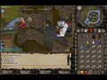 Presenting Runescape Dinasty