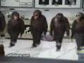 Georgian Folk Dance - MONKEYURİ
