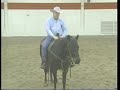 This video discusses the lope and execution of lead changes on a western horse. It is part of the Fundamental Training of a Horse video.In this set of videos, basic ground work, longing and handling methods are demonstrated, as well as numerous suppling and basic training maneuvers are shown to develop quiet, broke horses. Presenters: Gary Stauffer and Monte Stauffer, UNL Extension EducatorsThis presentation was given at the 2007 Equestrian Academy at the University of Nebraska-Lincoln. For more horse information, visit www.extension.org/horses!