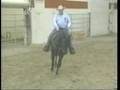 Training Tips: The Lope & Lead Changes, Part 1, eXtension