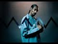 2pac snoop dog Nothin But A Gangsta Party stunt 2pac snoop dog Nothin But A Gangsta Party stunt