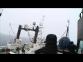 Whale-Wars-Tactics-B