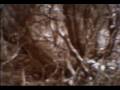 blodarv heksen introvideo