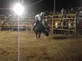 jaripeo- taquillero de matamoros vs sacristan
