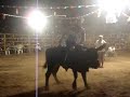 jaripeo- taquillero de matamoros vs sacristan