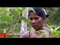 exhumacionas bajo fuego en el putumayo parte2 contravía
