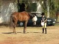 Kendra and Galloway