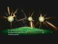 Twilight Princess Triforce Cutscene + Music by S.H.T.Y.M.