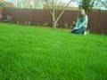 Cartwheels.