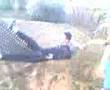 hamak-video-4