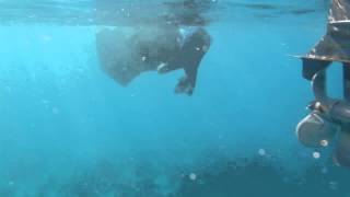 Service Learning Project - Reef Rehabilitation at West Bali
