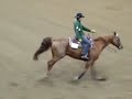 Emelie Lundstr�m Paid Warmup