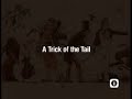 Genesis Rock Progresive music Trick tail