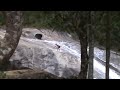 RATTINHO SURFANDO NA CACHOEIRA - BANDA VÓ RUTH RATTINHO SURFANDO NA CACHOEIRA - BANDA VÓ RUTH