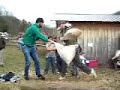 Redneck Pillow Fight - Maple Syrup Festival