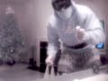 Robber in da house! Robber in da house!