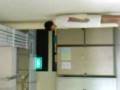 videos de Me Owning My Friend In Dunman