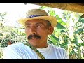 somos alzados en bastones de mando 1