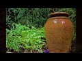 Click here to watch this video Macy's Flower Show.wmv