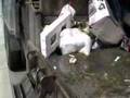 Pete/Mcneilus msl eating hopper full of garbage
