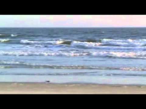 Sunset Beach NC, Bird Island Mailbox