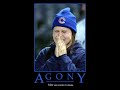 the chicago white sox