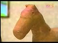 パペットTV3