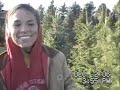 Christmas Tree Hunting Christmas Tree Hunting