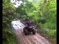 honduas en barranquitas honduas en barranquitas