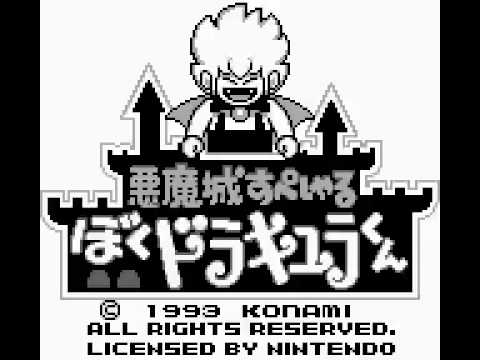 動画