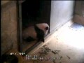 2009-11-20 Yun Zi: Watch Me Go!