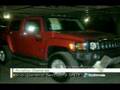 Las hummer de Elba con Denisse Maerker 1/2