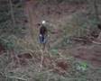 dan k dec c and richard m at chicksands filming EPISODE 5
