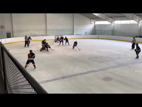 Highlights 2021-2022