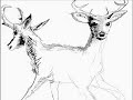 tom moody - where the deer and the antelope play