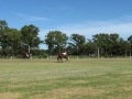 Jornada de Pato en el campo Las Acacias de Bolívar