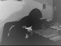 Chimera - Kult