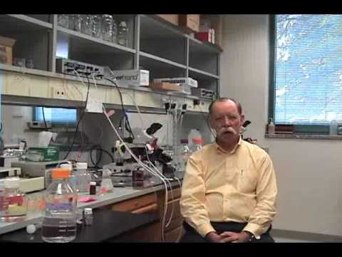 Waggoner Center for Alcohol & Addiction Research .avi
