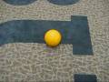 Physics Medicine Ball