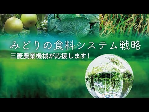 Amazon.co.jp: 2025年 花柄イラスト王立植物園 キュー、ミニ