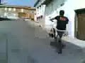 record-gines-el-caballito-mas-largo-de-santa-maria-by-carral.html