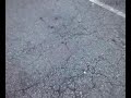 video-2009-11-14-17-25-05