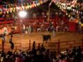 Mexican Rodeo Bull Blooper