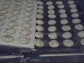 Automatic Seeder and tray Depositor