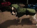 Izzy Can't Move, Mets and Yankees Rained Out