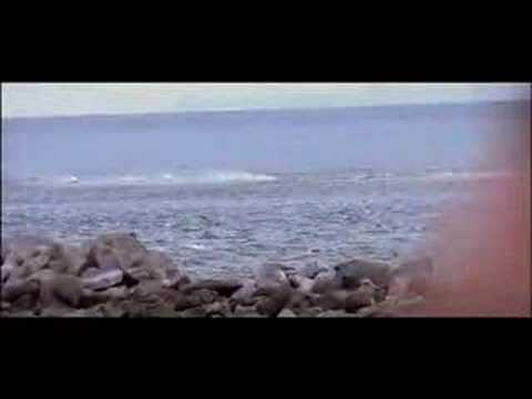'Symmetry' official video release