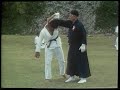 上原清吉師による取手Tuiti by Seikichi Uehara Senseihttp://motobu-ryu.org